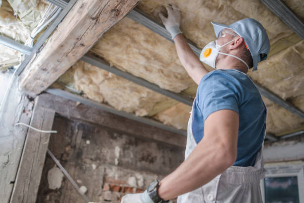 Best Eco-Friendly Insulation in Endwell, NY