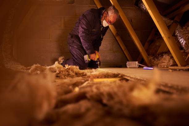 Best Geographic-Specific Insulation Services in Endwell, NY