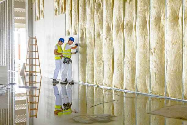 Best Cellulose Insulation in Endwell, NY
